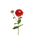 Zinnia Flower and Bloom - 26 Inch - Red