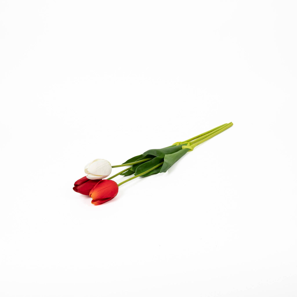 Natural Touch Tulip - 23.5 Inch - Heritage Trio (36 Stems)