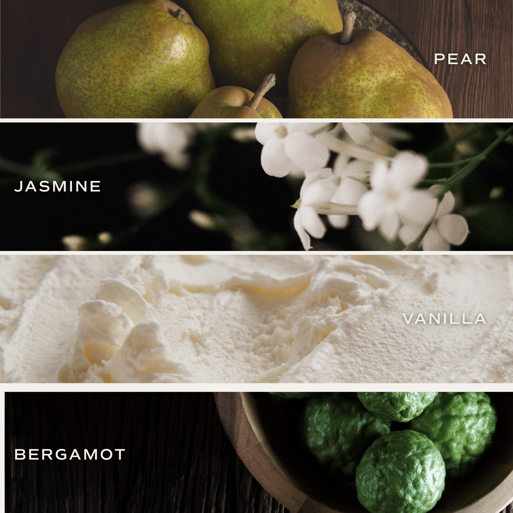 *NEW* Forever and Always 15 oz Soy Candle, Matte Jar