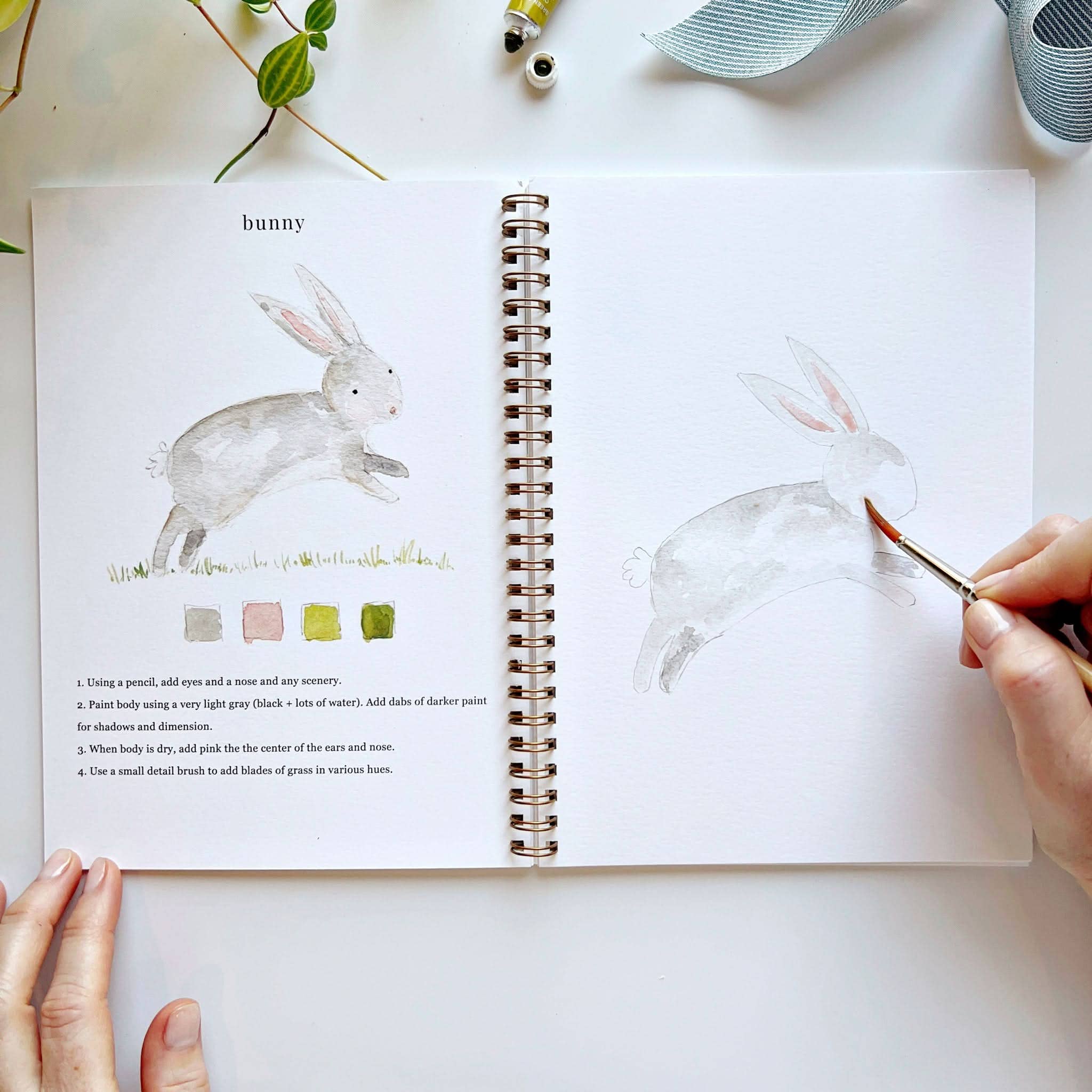 Animals watercolor workbook presale