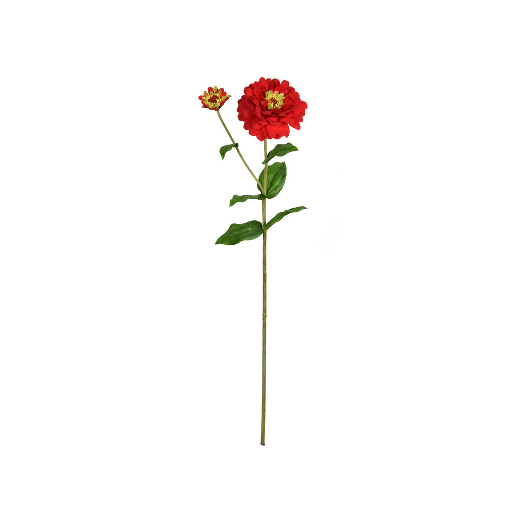 Zinnia Flower and Bloom - 26 Inch - Red