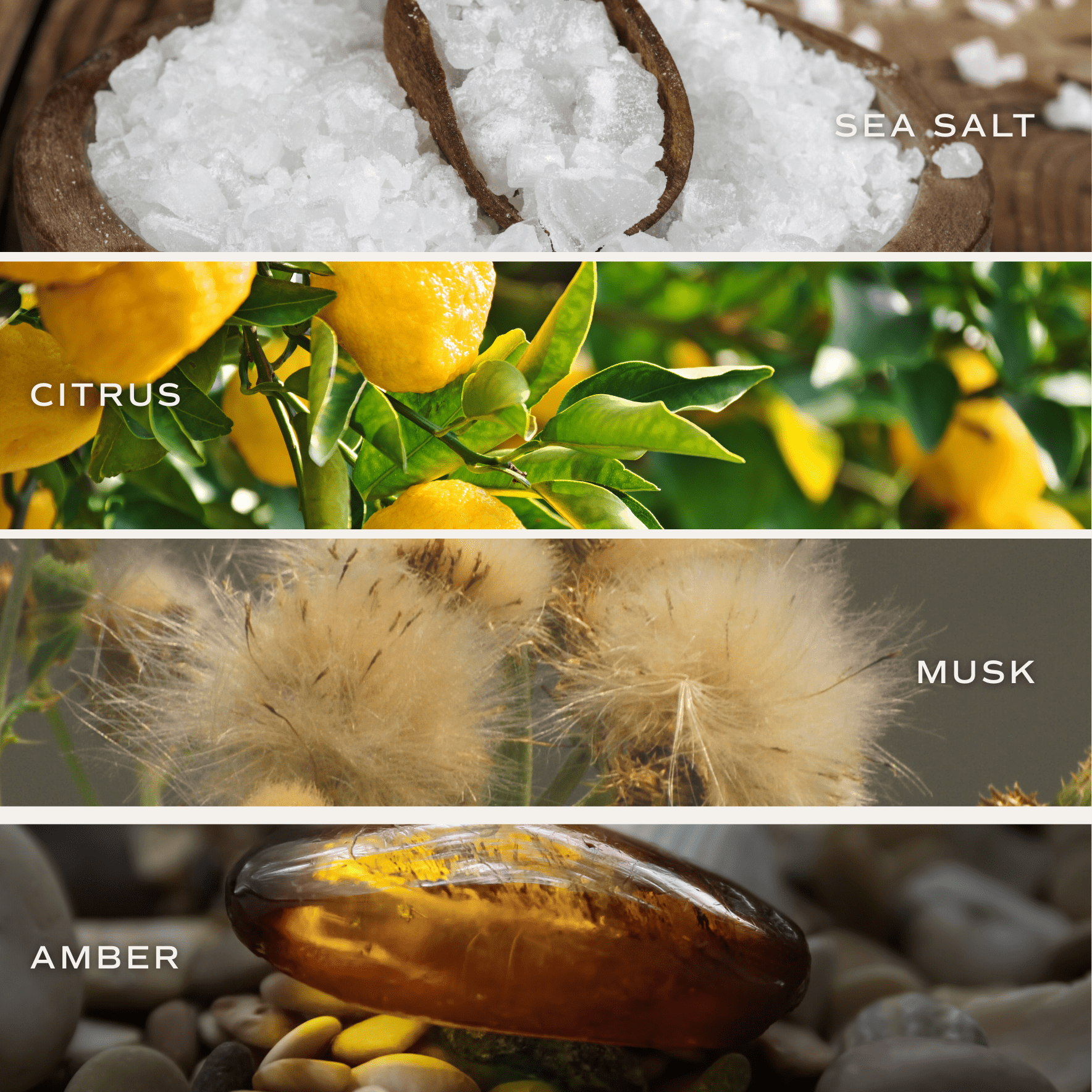 *NEW* Salt and Sea 15 oz Soy Candle, Matte Jar - Home Decor