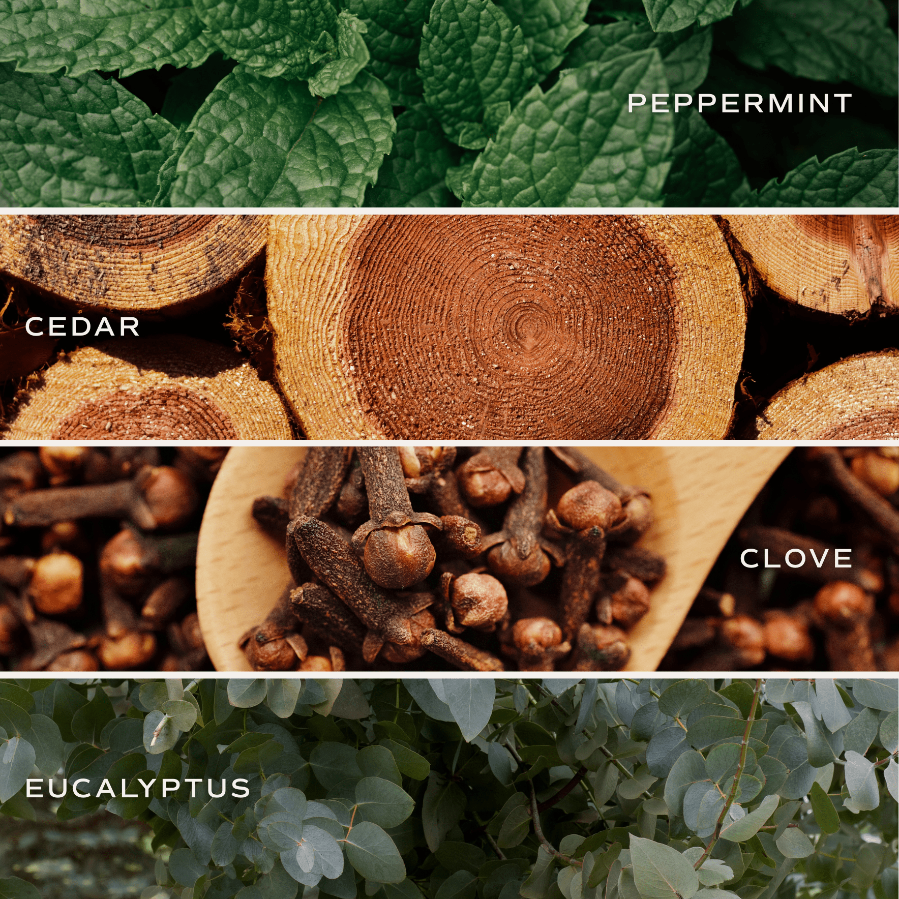 *NEW* Relax, Girl 15 oz Soy Candle, Matte Jar - Home Decor