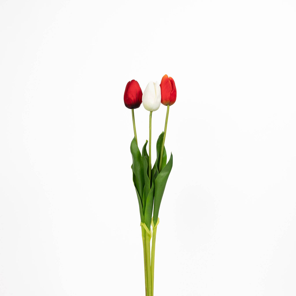 Natural Touch Tulip - 23.5 Inch - Heritage Trio (36 Stems)