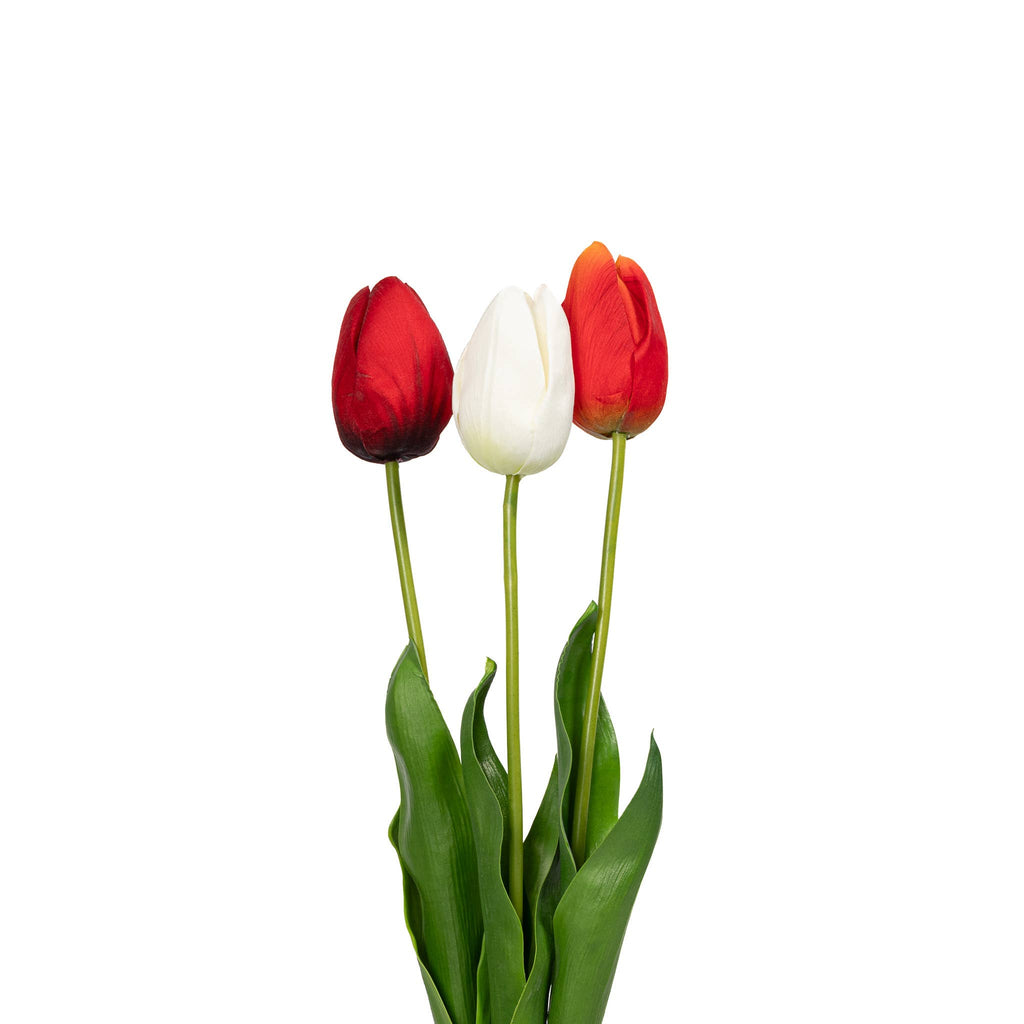 Natural Touch Tulip - 23.5 Inch - Heritage Trio (36 Stems)