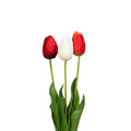 Natural Touch Tulip - 23.5 Inch - Heritage Trio (36 Stems)