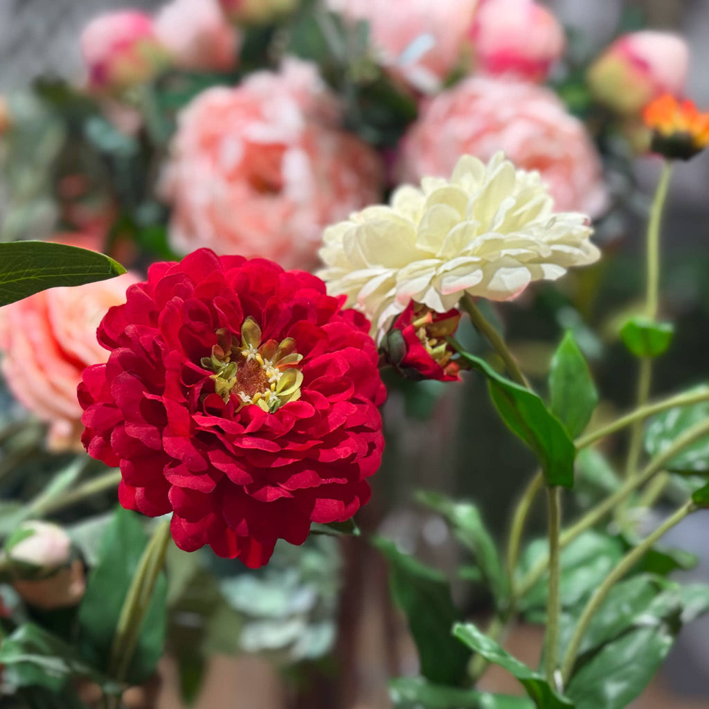 Zinnia Flower and Bloom - 26 Inch - Red
